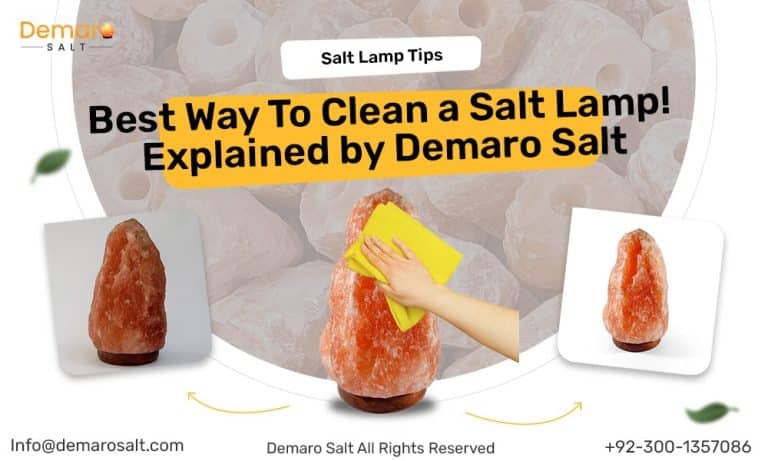 Best Way to Clean a Salt Lamp! ISO Certified Supplier Guide.